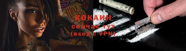 прущие крисы Надым
