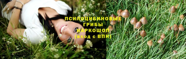 прущие крисы Надым