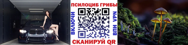 гидра онион  Мамоново  Псилоцибиновые грибы мицелий  купить наркоту 